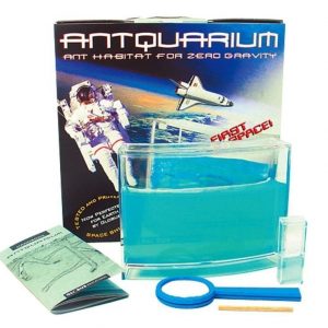 Antquarium