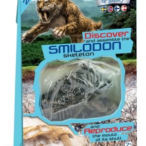 Clementoni Dino Fossil Smilodon