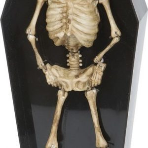 Dancing skeleton in coffin