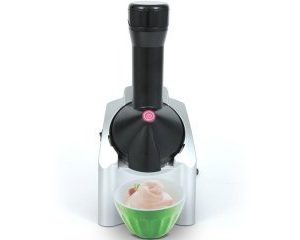 Fruit Ice Cream Maker