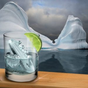 Gin & Titonic Ice Tray