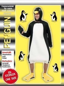 Naamiaisasu pingviini