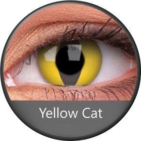 Phantasee Yellow Cat