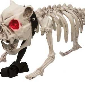 Skeleton Dog