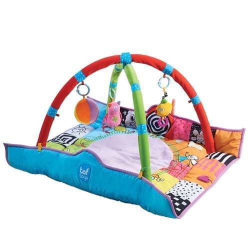 Taf Toys Leikkimatto Newborn Gym