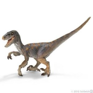 Velociraptor dinosaurus